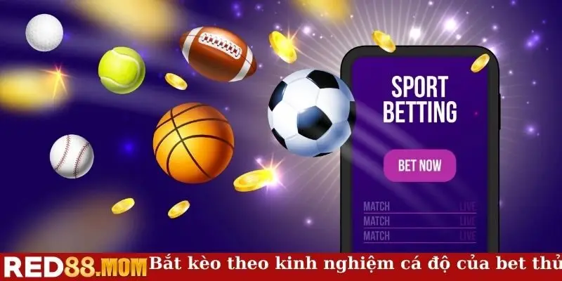 Bắt kèo hay theo kinh nghiệm cá độ của bet thủ
