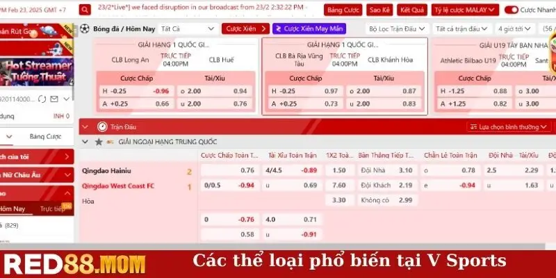 Các thể loại phổ biến tại V Sports