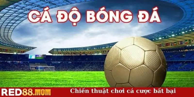 Chiến thuật chơi cá cược bất bại