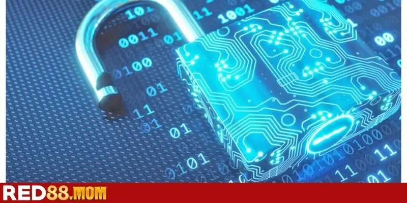 Chính sách bảo mật đảm bảo tiêu chuẩn quốc tế