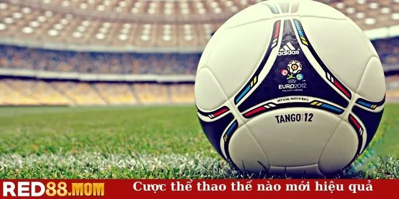 Cược thể thao thế nào mới hiệu quả