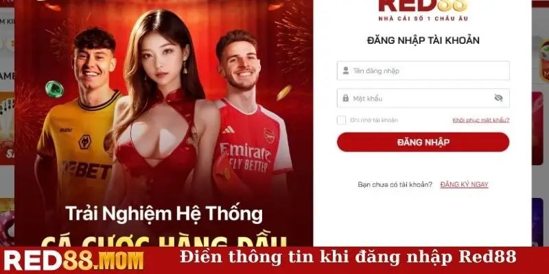 Điền thông tin khi đăng nhập Red88