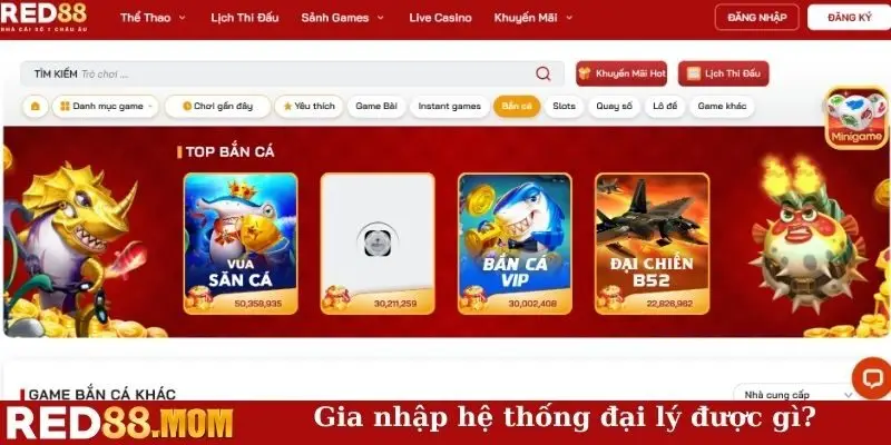 Gia nhập hệ thống đại lý được gì?