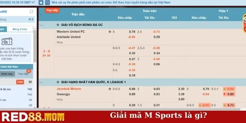 M Sports là gì?