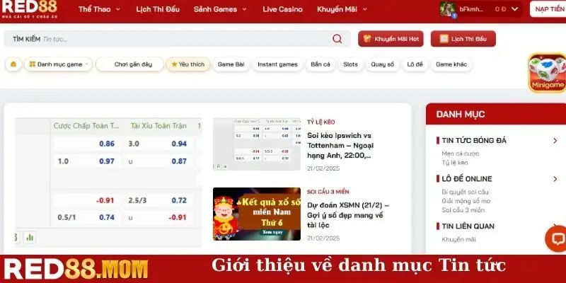 Giới thiệu về danh mục Tin tức