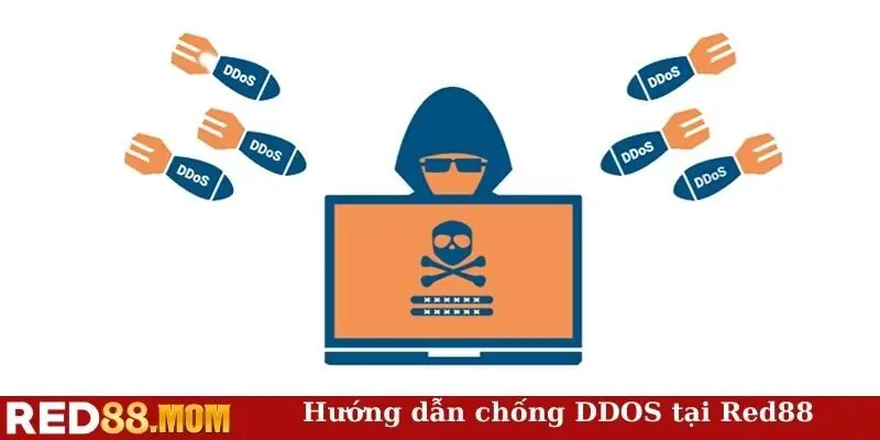 Hướng dẫn chống DDOS tại Red88