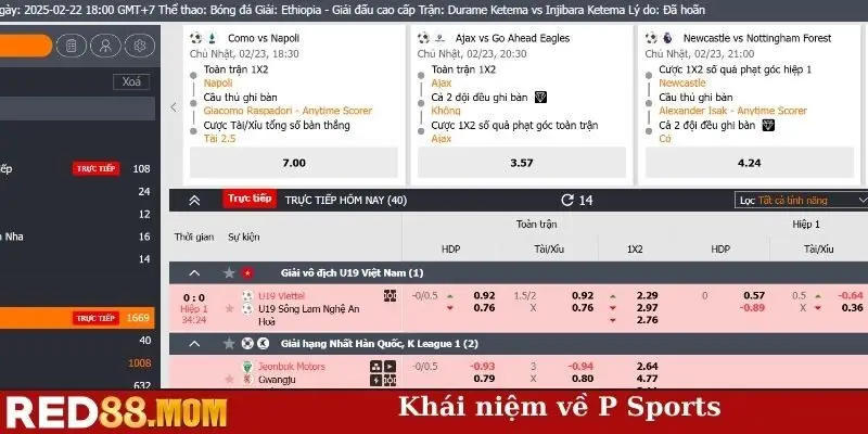 Khái niệm về P Sports