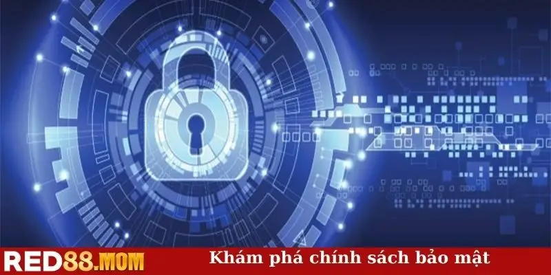 Khám phá chính sách bảo mật