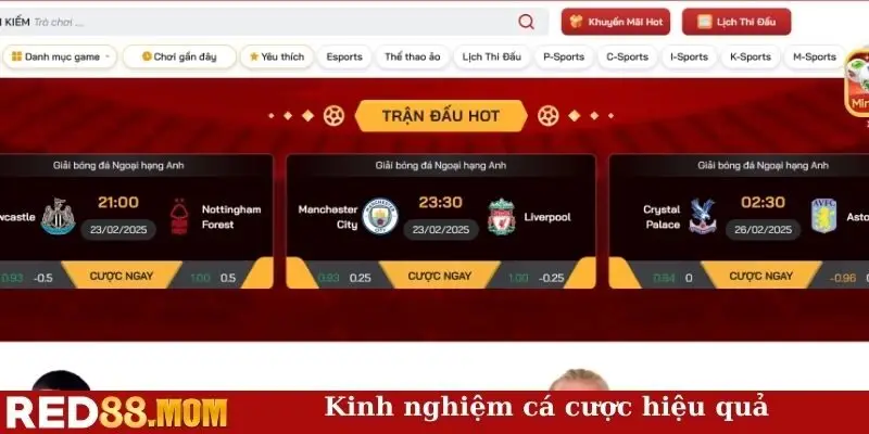 Kinh nghiệm cá cược hiệu quả