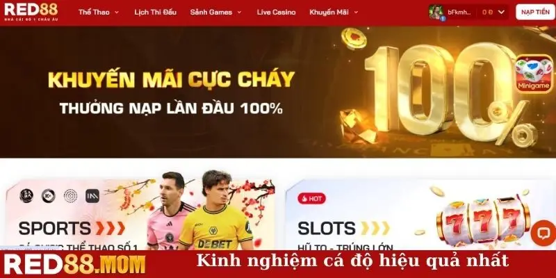 Kinh nghiệm cá độ hiệu quả nhất