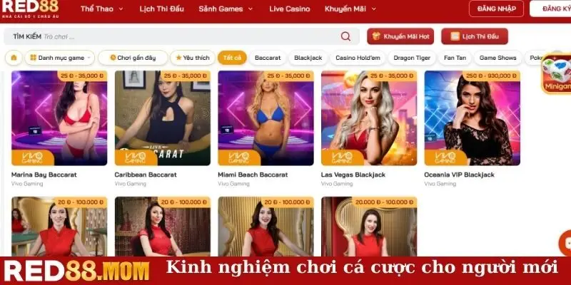 Kinh nghiệm chơi cá cược cho người mới