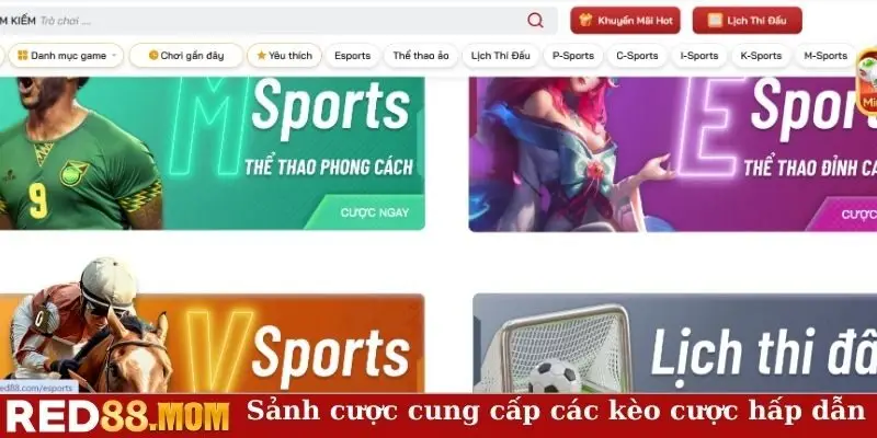 Sảnh cược cung cấp đa dạng các kèo cược hấp dẫn