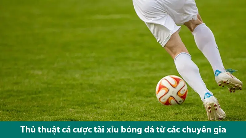 Cách đặt cược và thủ thuật chơi kèo tài xỉu bóng đá thành công từ dân cá độ